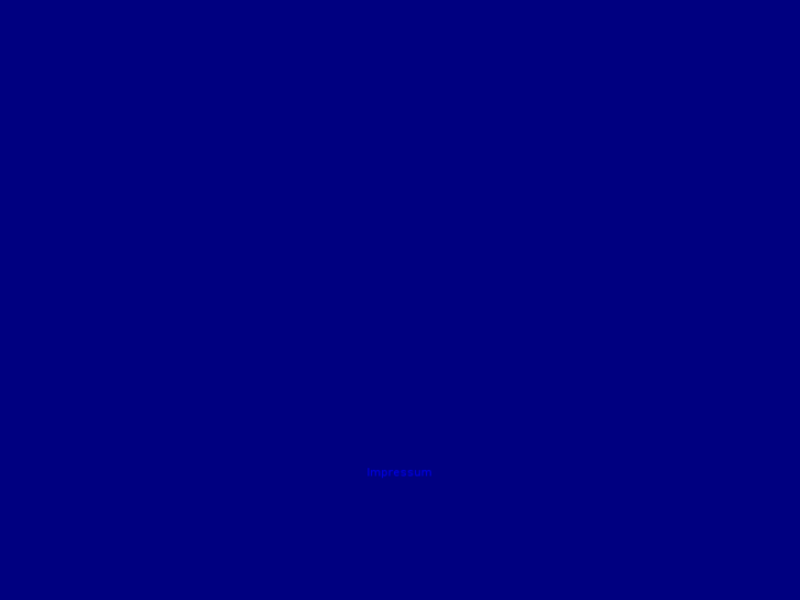 www.richter-it.net