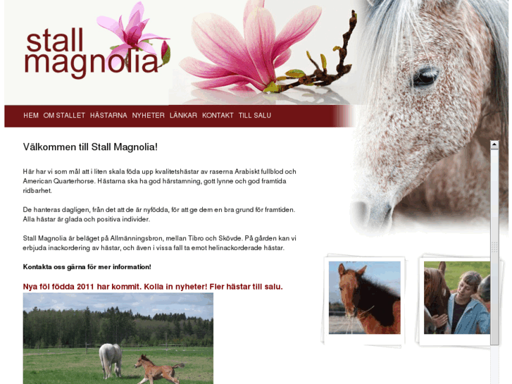 www.stallmagnolia.com