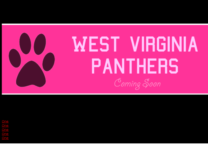 www.westvirginiapanthers.com