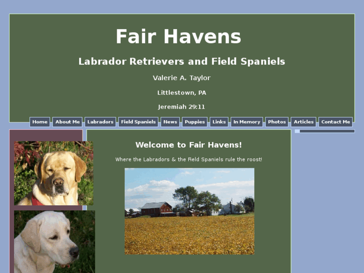 www.fairhavenslabs.com