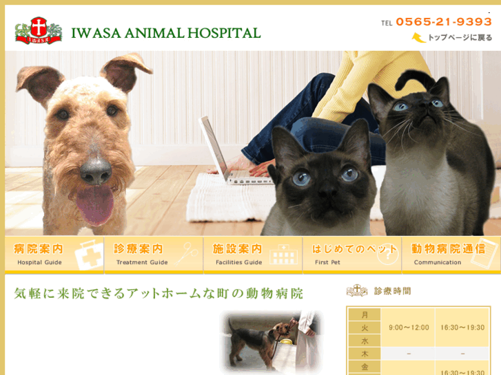 www.iwasa-ah.com