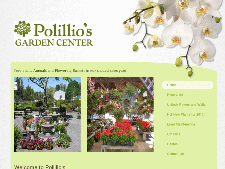 www.polillios.com