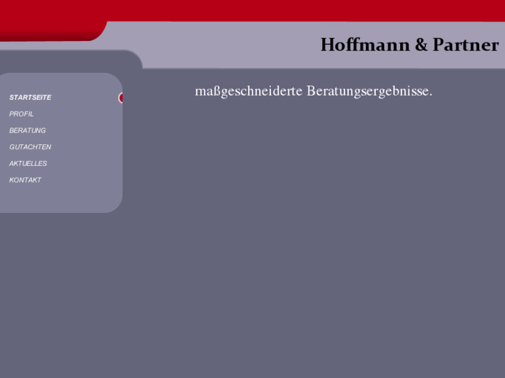 www.profhoffmann.de