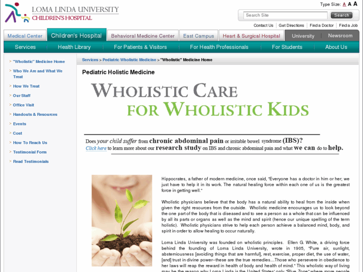 www.wholistickids.com