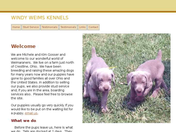 www.wwweimaraners.com