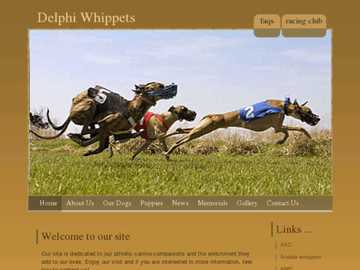 www.delphiwhippets.com