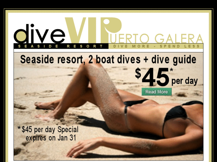 www.dive-vip.com