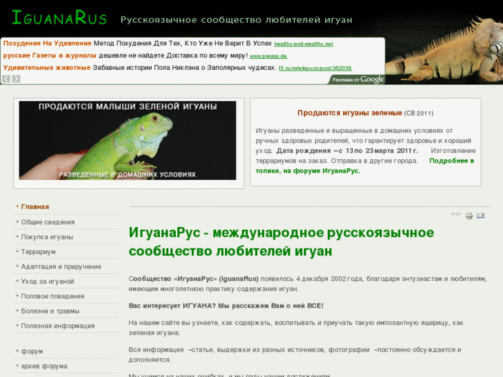 www.iguanarus.ru