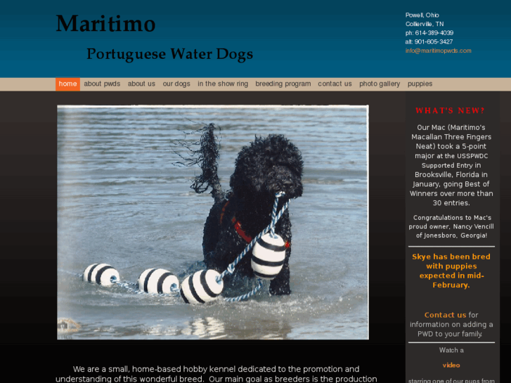 www.maritimopwds.com