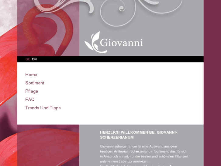 www.my-giovanni.com