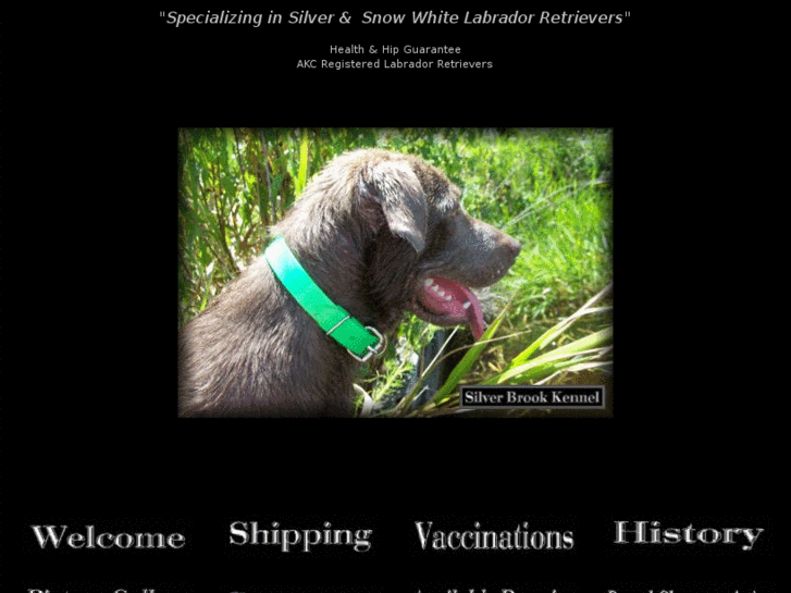 www.silverbrookkennel.com