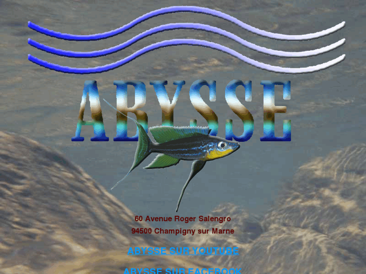 www.abysse-cichlides.com