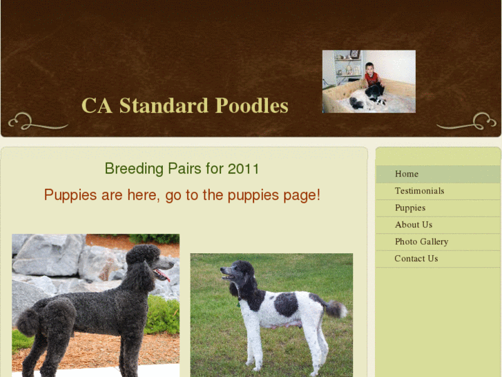 www.castandardpoodles.com