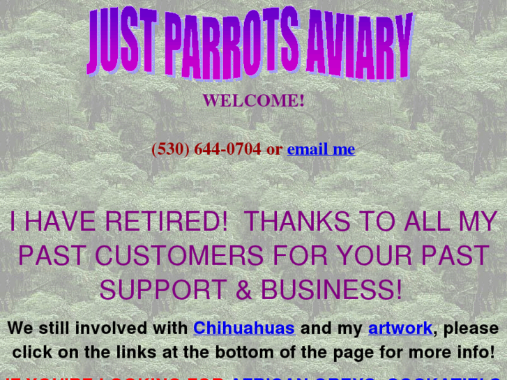 www.justparrotsaviary.com
