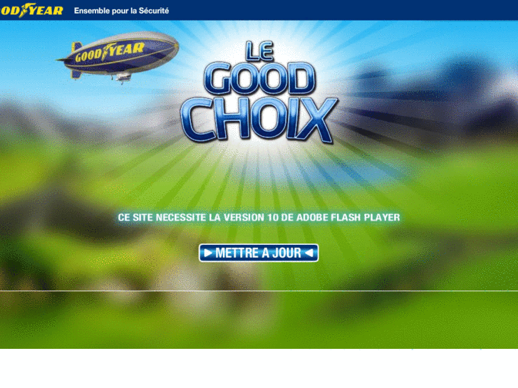 www.legoodchoix.com