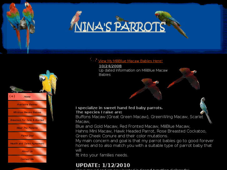 www.ninasparrots.com