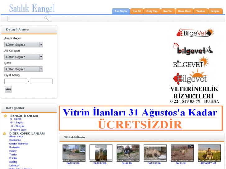 www.satilikkangallar.com