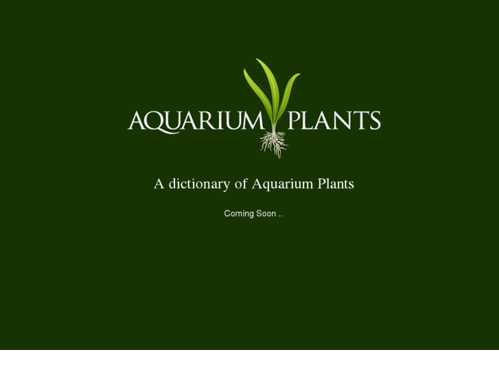 www.aquarium-plants.com