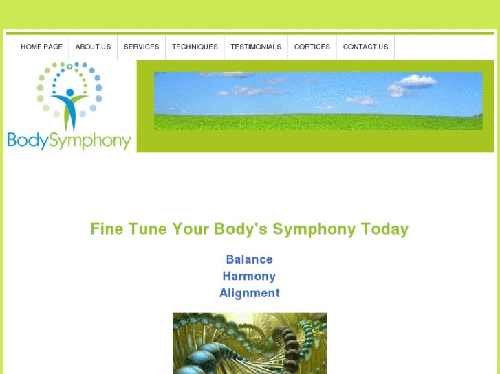 www.bodysymphonytx.com