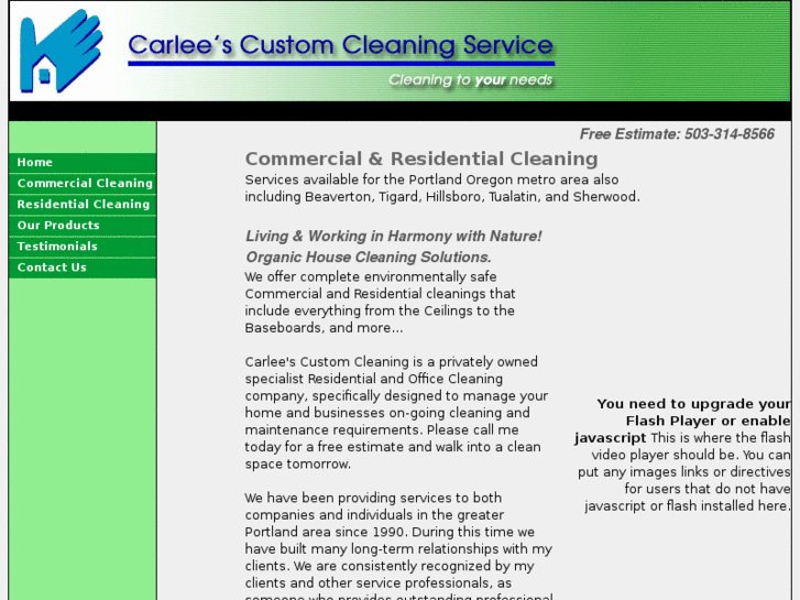 www.carleescustomcleaning.com