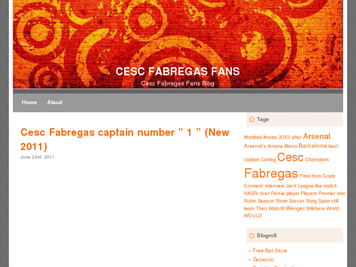 www.cescfabregasfans.info