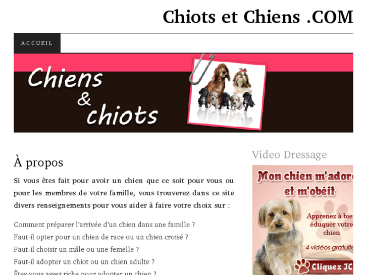 www.chiots-et-chiens.com