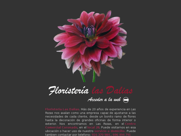 www.floristerialasdalias.com