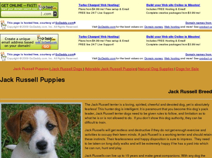 www.jackrusselpuppies.net