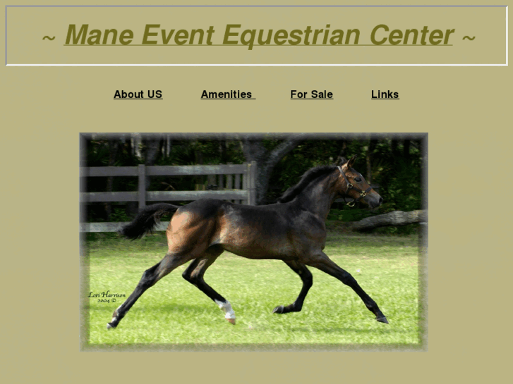 www.maneeventequestrian.com