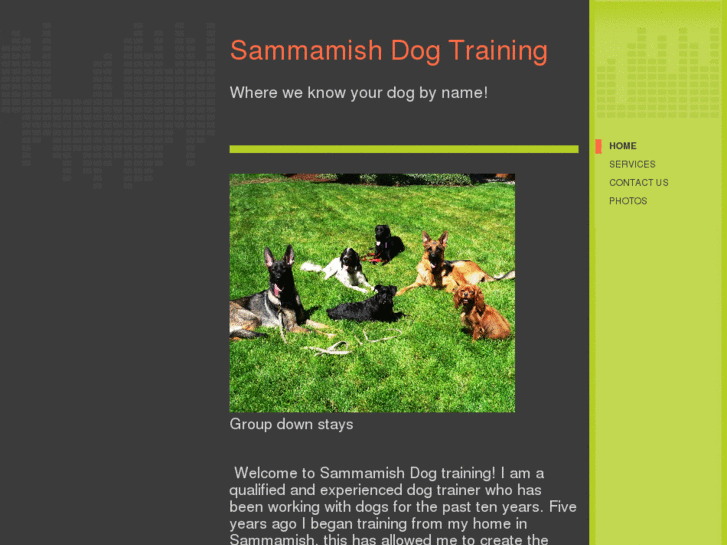 www.sammamishdogtraining.com