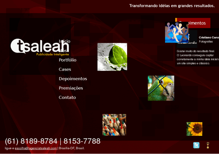 www.agenciatsaleah.com