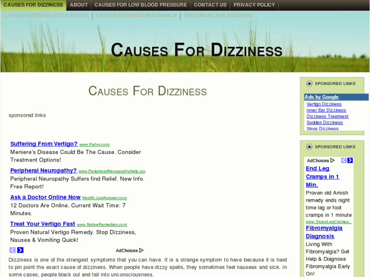 www.causesfordizziness.com