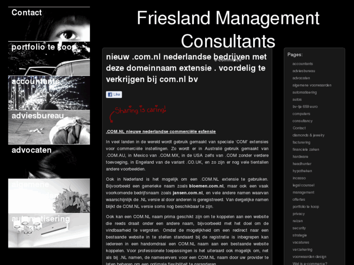 www.frieslandmanagementconsultants.com
