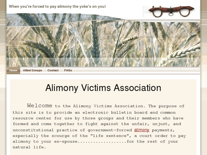 www.alimonyvictims.com