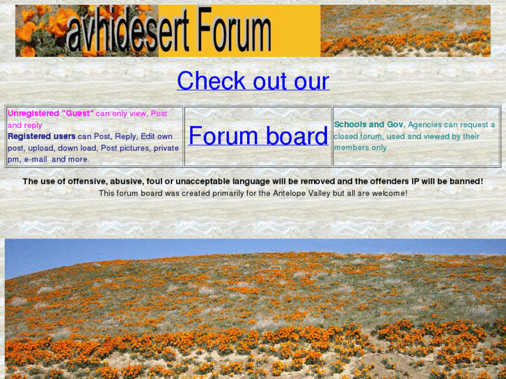 www.avhidesert.com