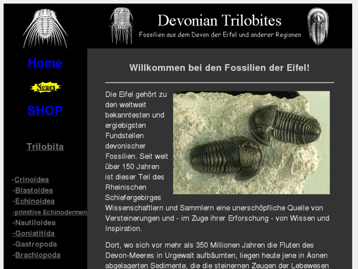 www.devonian-trilobites.de