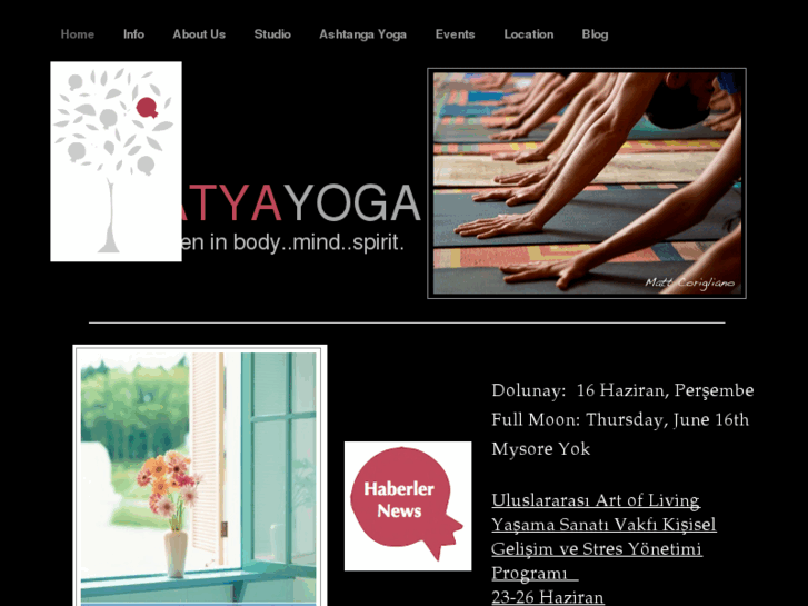 www.satyayogastudio.com