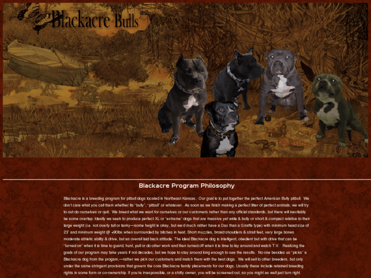 www.blackacrebulls.com