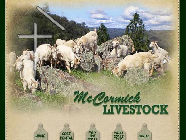 www.mccormicklivestock.com