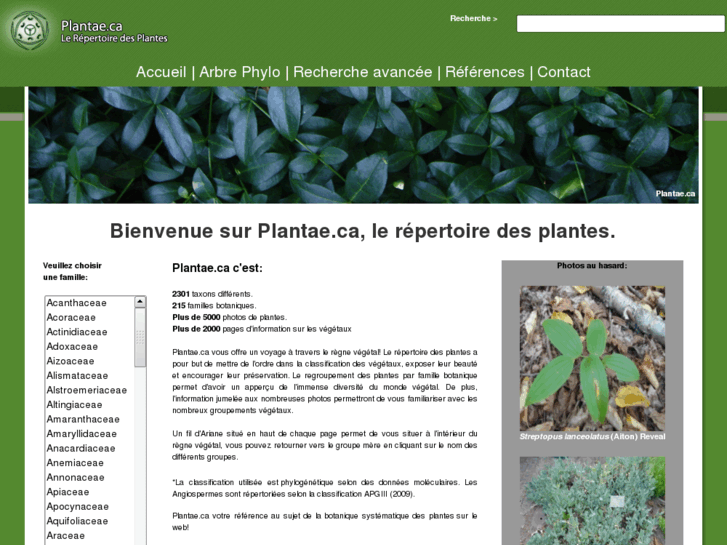 www.plantae.ca