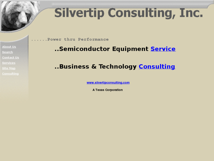 www.silvertipconsulting.com