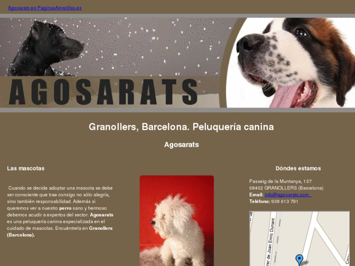 www.agosarats.com