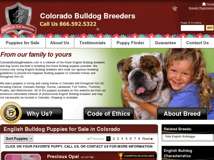 www.coloradobulldogbreeders.com