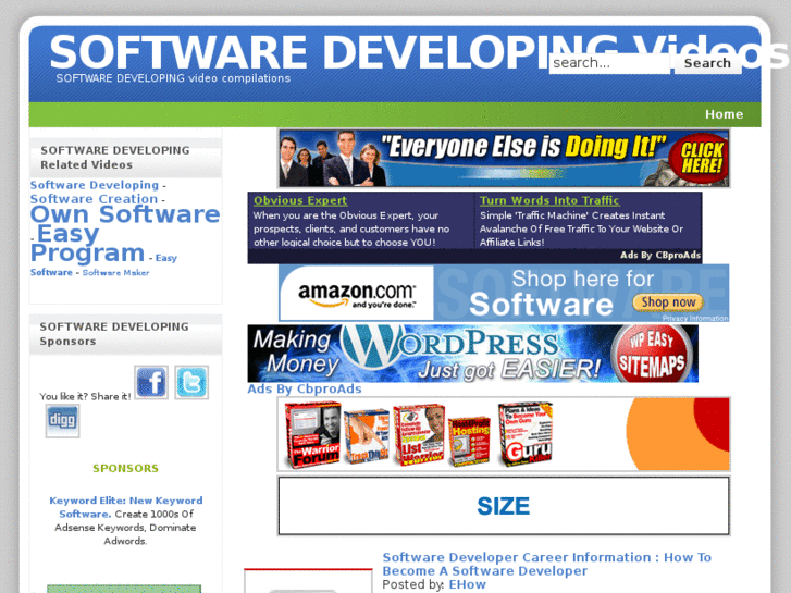 www.developingsoftware.info