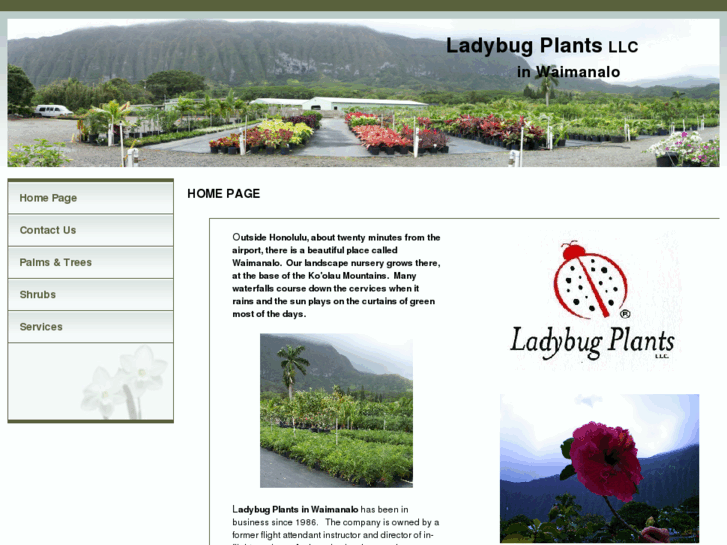 www.ladybugplantshi.com