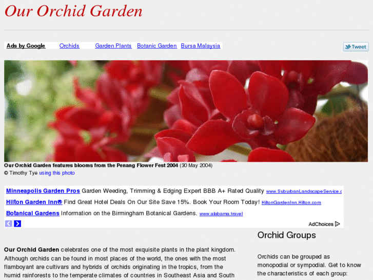 www.our-orchid-garden.com