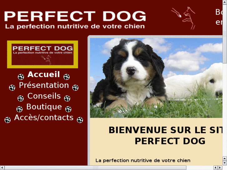 www.perfect-dog.net
