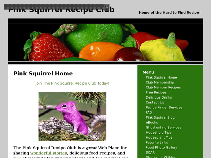 www.pinksquirrelrecipeclub.com