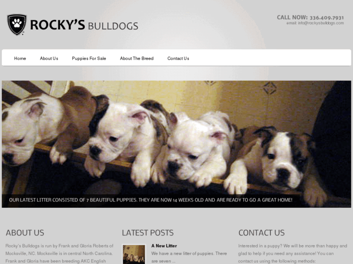 www.rockysbulldogs.com