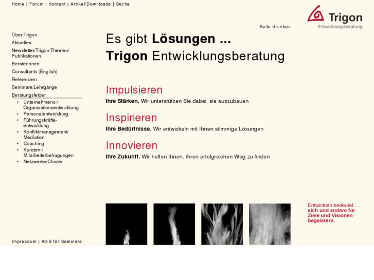 www.trigon.at